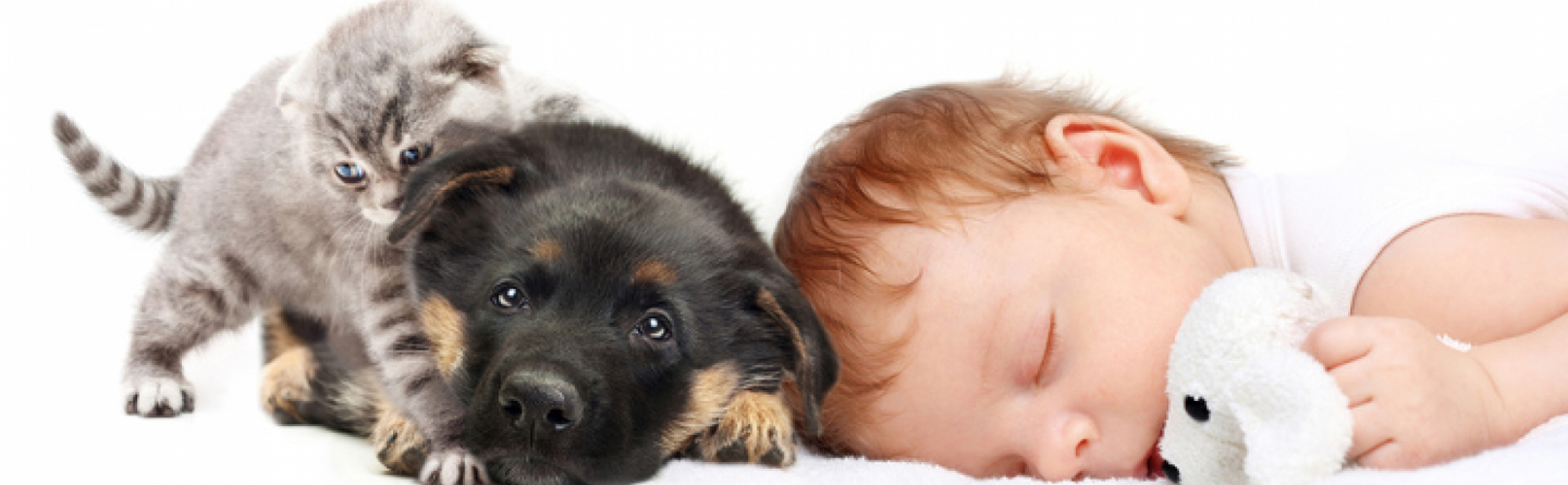 Babys und Haustiere