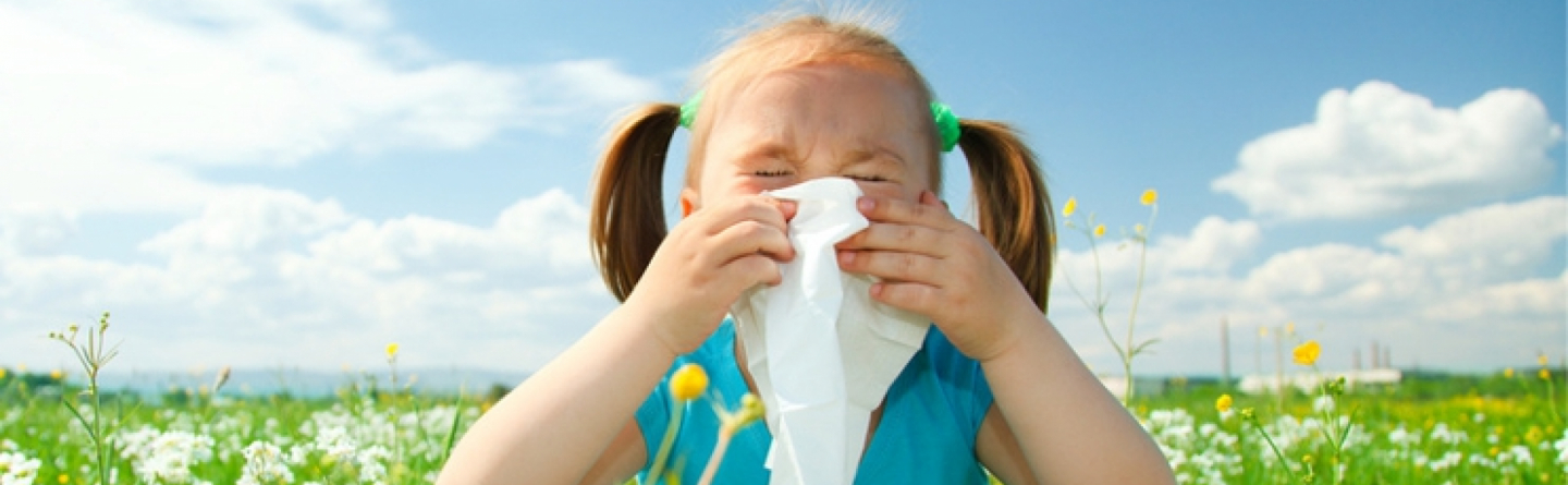 Allergie & Allergietest