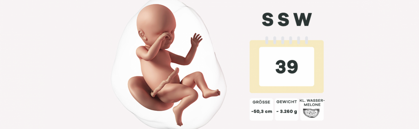 39. Schwangerschaftswoche (SSW) - Letzte Vorbereitungen für die Geburt