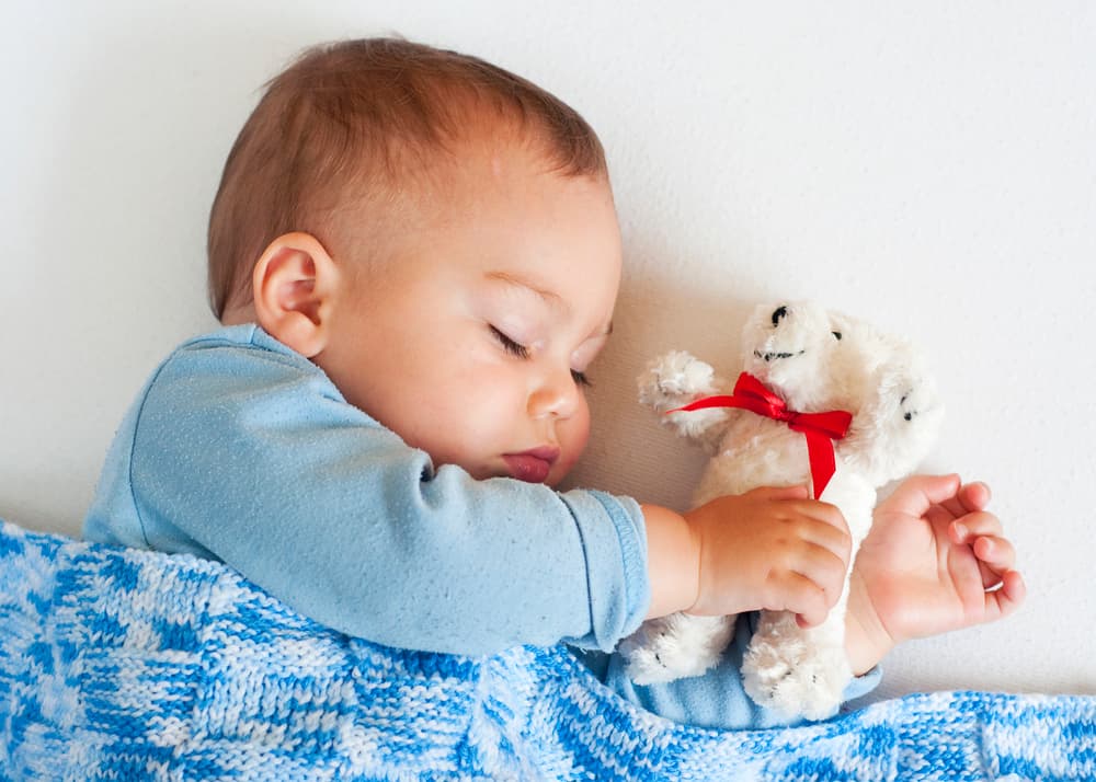 Kuscheltiere